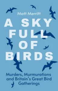 A Sky Full of Birds by Matt Merritt