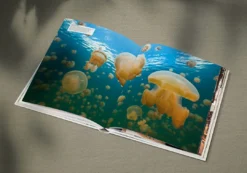 Alternative view of دایرةالمعارف مصوّر و اورجینال اقیانوس