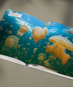 Alternative view of دایرةالمعارف مصوّر و اورجینال اقیانوس