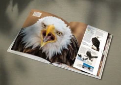 Alternative view of دایرةالمعارف مصوّر و اورجینال حیوانات