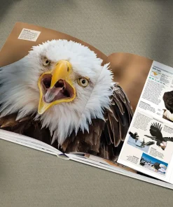 Alternative view of دایرةالمعارف مصوّر و اورجینال حیوانات