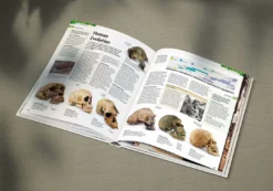 Alternative view of دایرةالمعارف مصوّر و اورجینال علم