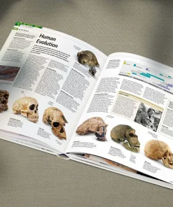 Alternative view of دایرةالمعارف مصوّر و اورجینال علم