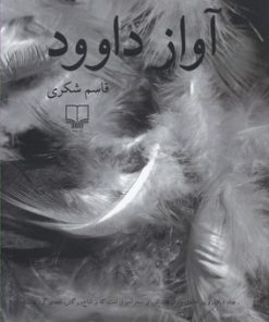 کتاب آواز داوود | انتشارات نشر چشمه