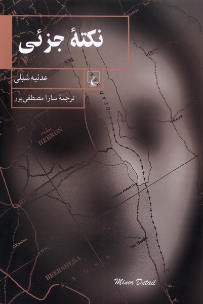 کتاب نکته ی جزئی | انتشارات ققنوس