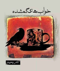 کتاب خواب های گمشده | انتشارات ققنوس