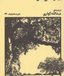 کتاب استاد شیشه ای | انتشارات نشر چشمه