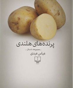 کتاب پرنده های هلندی | انتشارات نشر چشمه