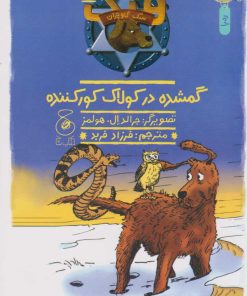 کتاب گمشده در کولاک کور کننده | انتشارات نشر چشمه