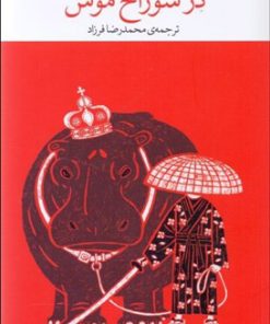 کتاب سوروسات در سوراخ موش | انتشارات نشر چشمه