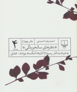 کتاب دفترهای سالخوردگی 4 | انتشارات نشر چشمه