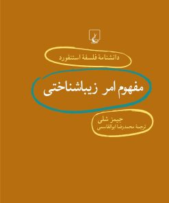 کتاب مفهوم امر زیباشناختی | انتشارات ققنوس