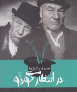 کتاب تفسیرها و تاویل ها : در انتظار گودو | انتشارات ققنوس