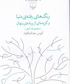 کتاب رنگ های رفته ی دنیا | انتشارات نشر چشمه