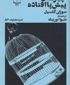 کتاب چیزهای پیش پا افتاده | انتشارات نشر چشمه