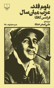 کتاب بلوم فلد، عزب میان سال | انتشارات نشر چشمه