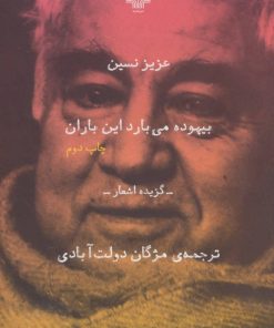 کتاب بیهوده می بارد این باران | انتشارات نشر چشمه