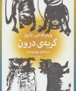 کتاب گربه ی درون | انتشارات نشر چشمه