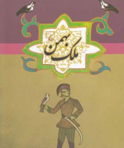 کتاب ملک بهمن | انتشارات ققنوس