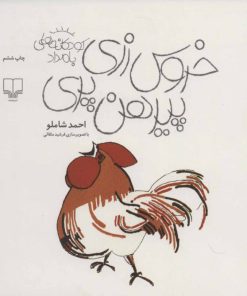 کتاب خروس زری، پیرهن پری | انتشارات نشر چشمه