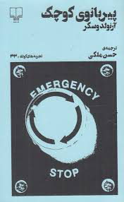 کتاب پیربانوی کوچک | انتشارات نشر چشمه