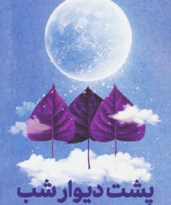 کتاب پشت دیوار شب | انتشارات سوره مهر