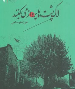 کتاب لاک پشت ها پرواز می کنند | انتشارات سوره مهر