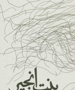 کتاب بنت انجیر | انتشارات سوره مهر