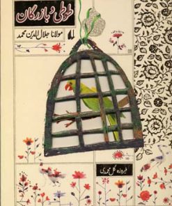 کتاب طوطی و بازرگان | انتشارات افق