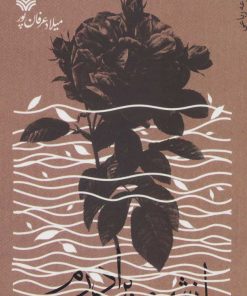 کتاب از شرم برادرم | انتشارات سوره مهر