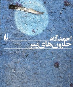 کتاب حلزون های پسر | انتشارات افق