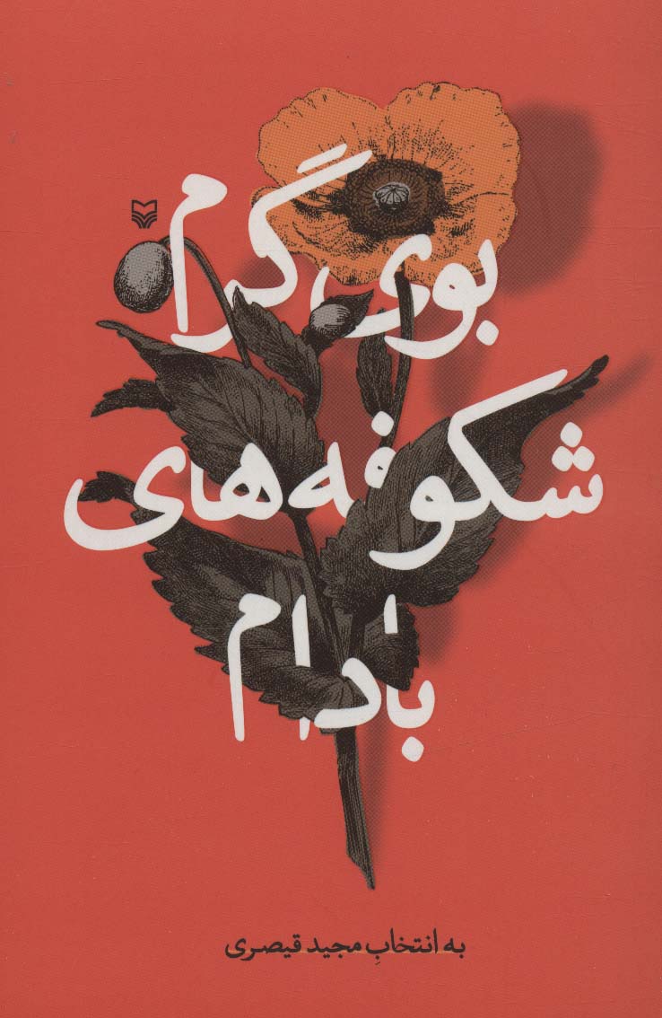 کتاب بوی گرم شکوفه های بادام | انتشارات سوره مهر