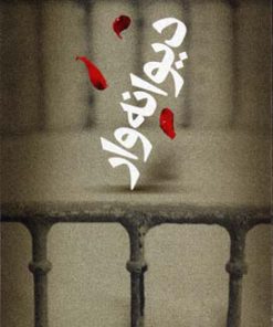 کتاب دیوانه وار | انتشارات افق