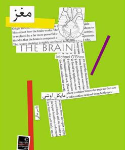 کتاب مغز | انتشارات افق