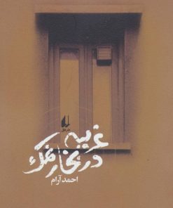 کتاب غریبه در بخار نمک | انتشارات افق