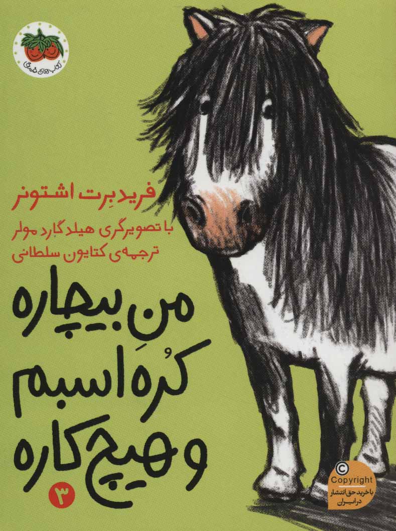 کتاب من بیچاره کره اسبم و هیچ کاره | انتشارات افق