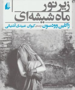 کتاب زیر نور ماه شیشه ای | انتشارات افق