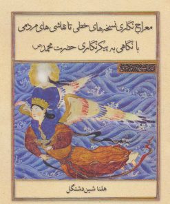 کتاب معراج نگاری نسخه های خطی تا نقاشی های مردمی (زرکوب) | انتشارات علمی و فرهنگی