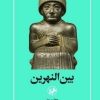 کتاب بین النهرین | انتشارات امیرکبیر