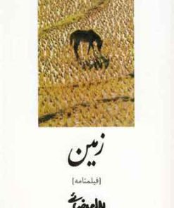 کتاب زمین | انتشارات روشنگران و مطالعات زنان