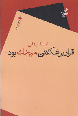 کتاب قرار بر شکفتن میخک بود | انتشارات سیب سرخ