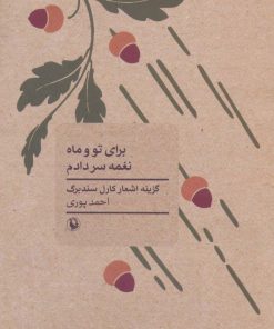 کتاب برای تو و ماه نغمه سر دادم | انتشارات مروارید