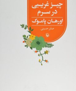 کتاب چیز غریبی در سرم | انتشارات مروارید