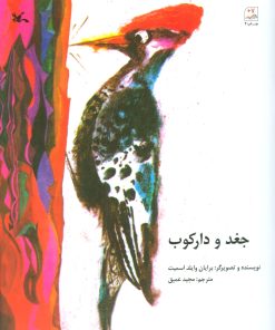 کتاب جغد و دارکوب | انتشارات کانون پرورش فکری کودکان و نوجوانان