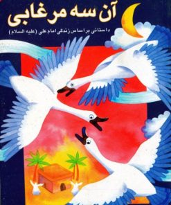 کتاب آن سه مرغابی | انتشارات سروش