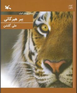 کتاب ببر هیرکانی | انتشارات کانون پرورش فکری کودکان و نوجوانان