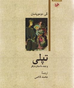 کتاب تپلی و چند داستان دیگر | انتشارات امیرکبیر