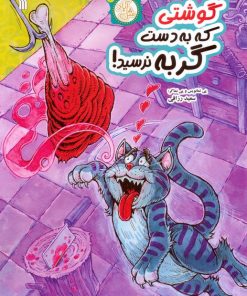 کتاب گوشتی که به دست گربه نرسید | انتشارات سروش