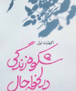 کتاب شکوه زندگی در لحظه حال | انتشارات نسل نواندیش