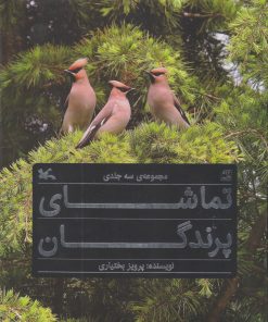 کتاب تماشای پرندگان | انتشارات کانون پرورش فکری کودکان و نوجوانان